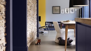 Dark Purple-Blue bedroom walls