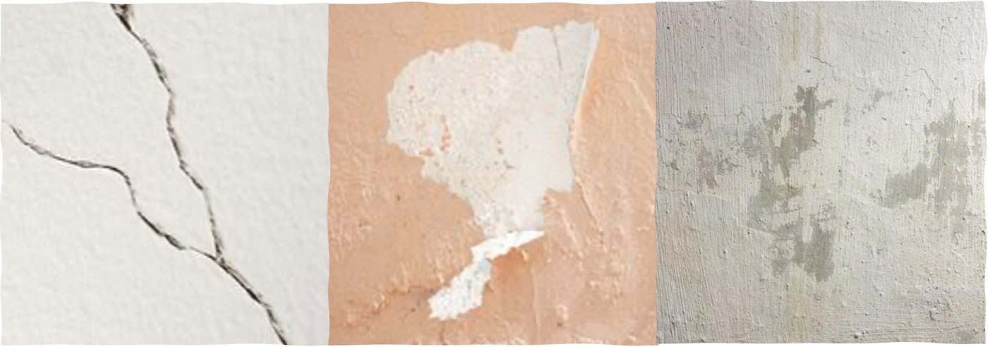 exterior paint failure issue