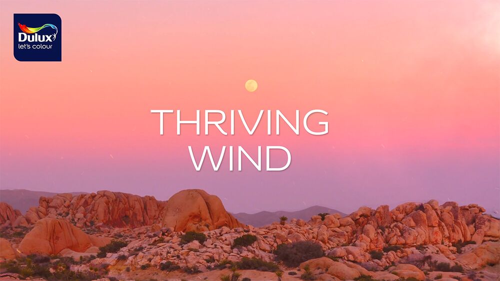 Comprehensive Guide of eco friendly Paints Dulux India Dulux India