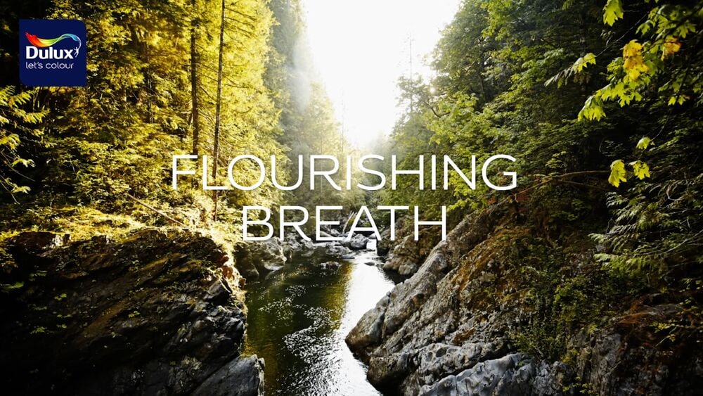 Comprehensive Guide of eco friendly Paints Dulux India Dulux India