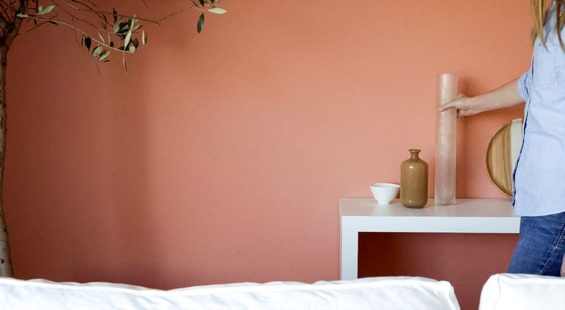 bright orange accents