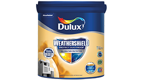 Dulux Weathershield Protect