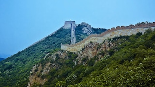 More to green than meets the eye