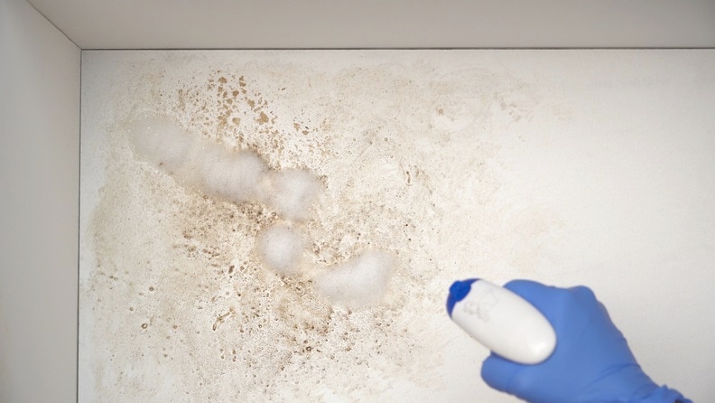 Identifica il problema