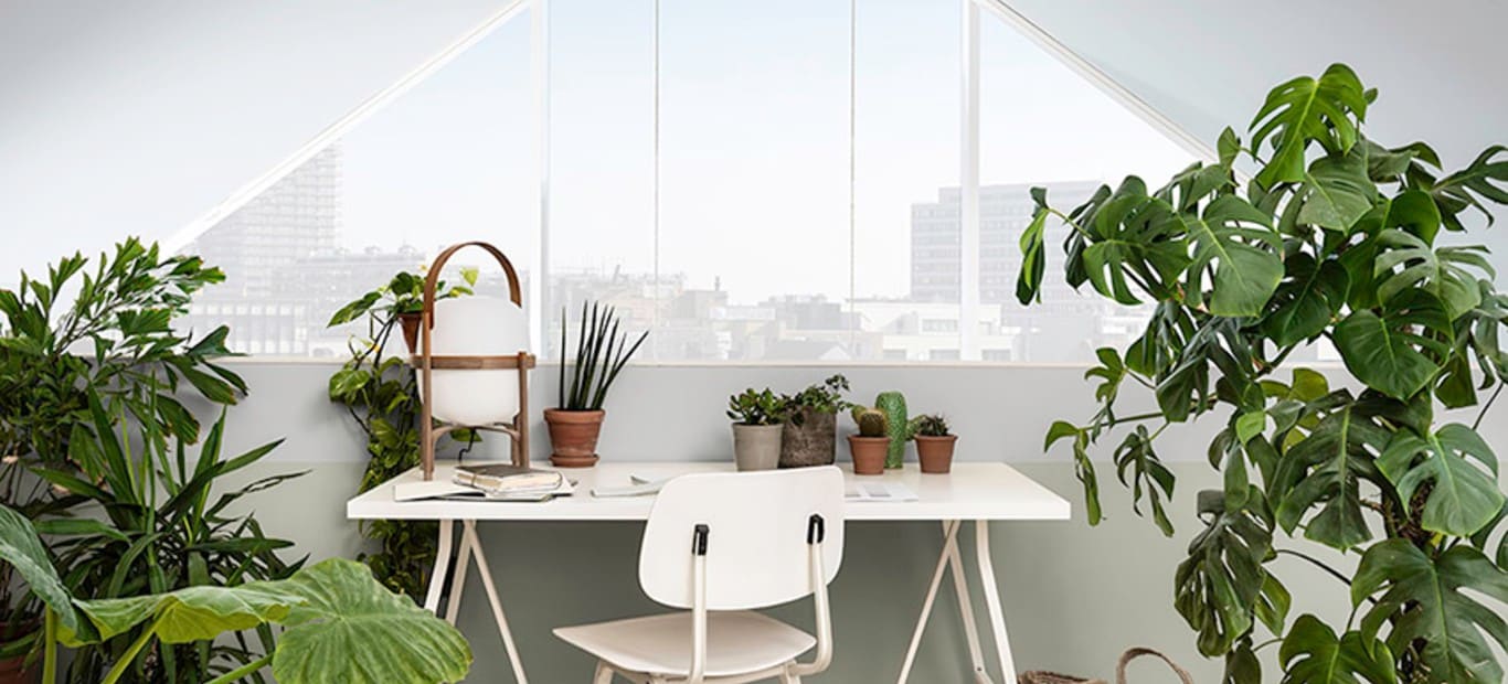 Spazi interni in armonia. Colori Dulux Benessere Soft & Neutral, Sabbia Dorata, Caffè, Blu Moderno, ecc