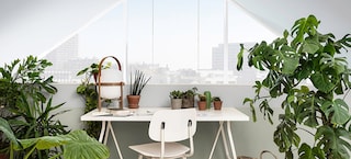 Trova l'armonia in ogni ambiente con i colori giusti