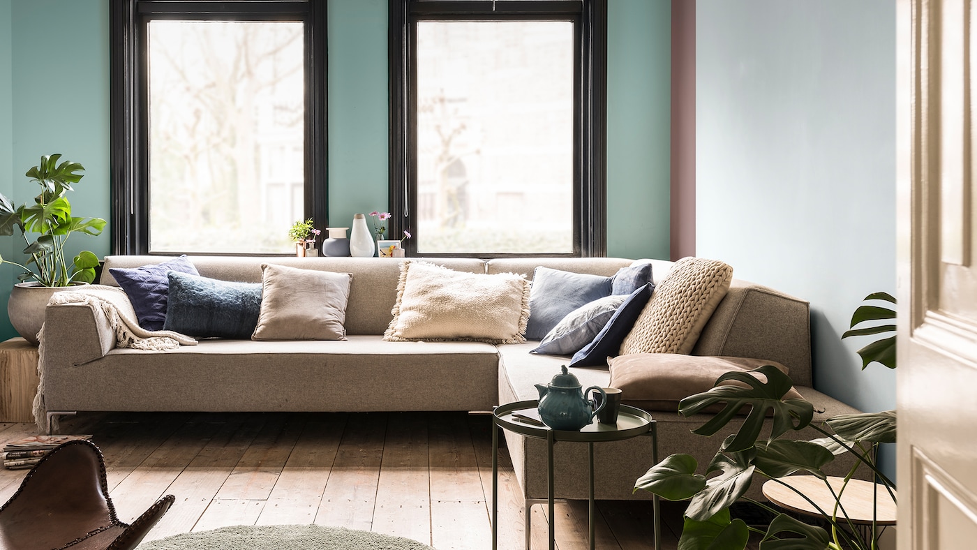 Black window frames with light blue walls