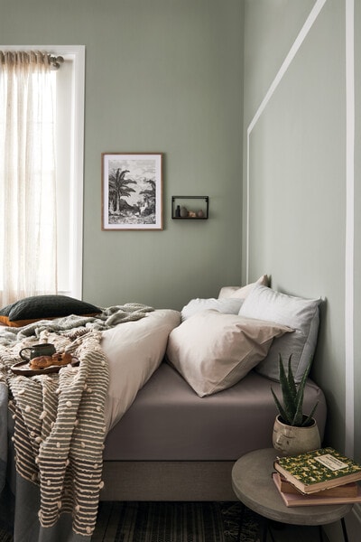 Neutral fabrics with celadon green wall