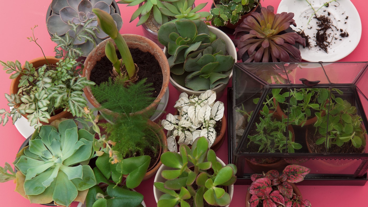 Decorate your home in gorgeous green shades to bring the outdoors in.