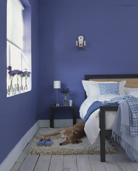Indigo walls with wall decor