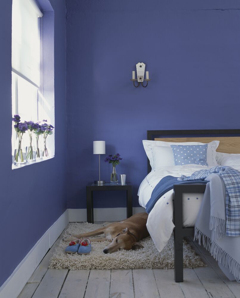 blue color walls
