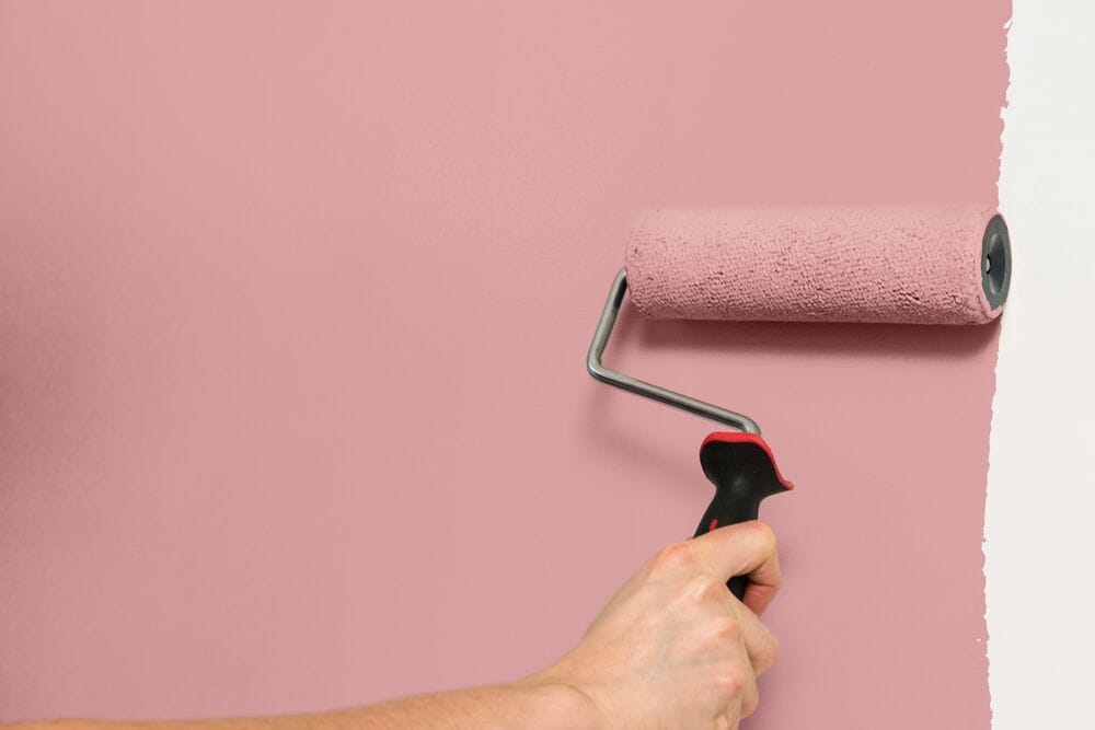 Hallway Paint Ideas with Candy Pink and Cool Grey