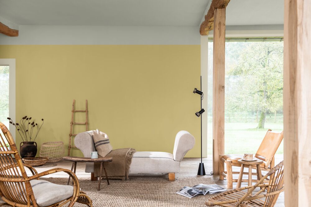 The Rise of BioBased Paints A Sustainable Future for the Paint