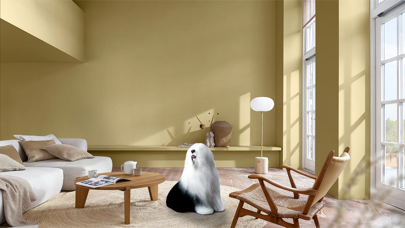 Living room with straw-colored walls and white sofa on the left