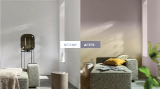 Dulux Colour Preview