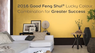 Lucky Colour Combination for Greater Success