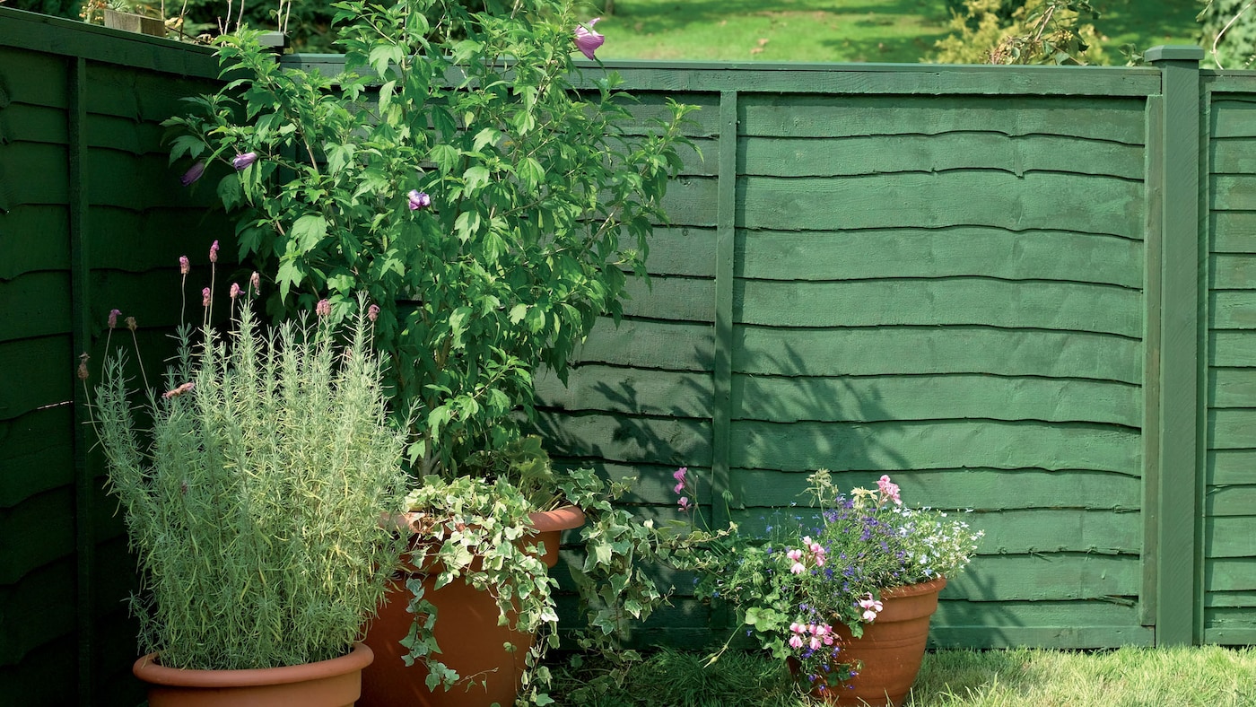 A garden exterior painted to last