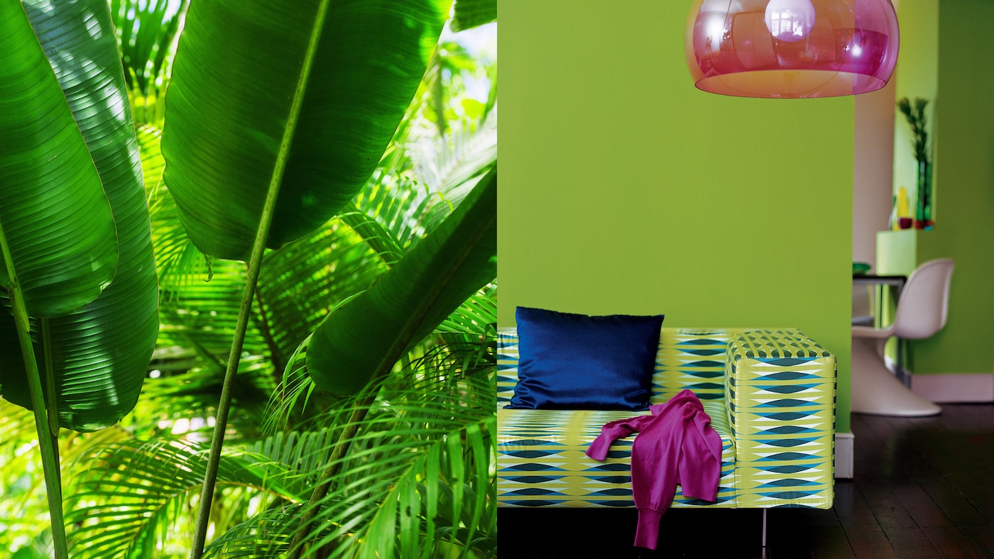 Inject energy into a space with tropical greens broken up with bright splashes of accent colour.