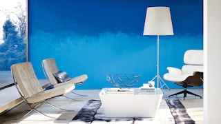 Latest Wall Paint Design Trends