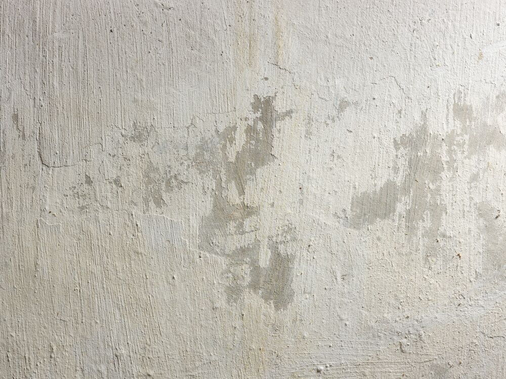 Damp Proof Paint