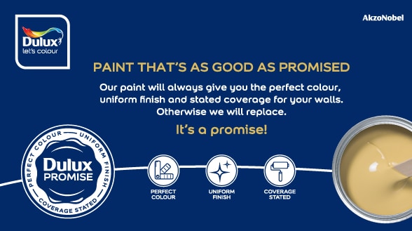 Dulux Promise Properties 
