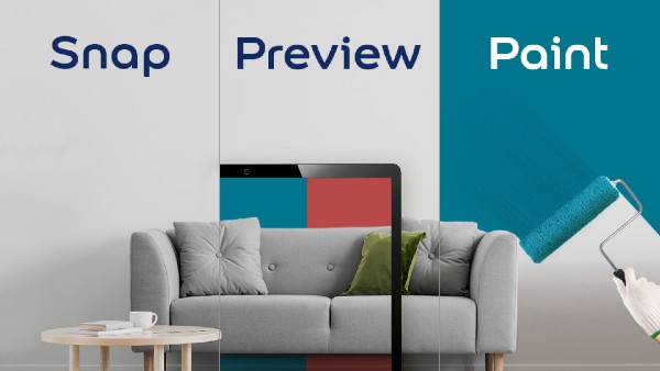 Dulux Preview service