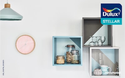 Dulux Stellar Wood Paint