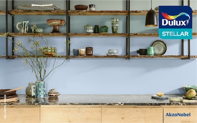 Dulux Stellar Kitchen Cabinet Wood Paint