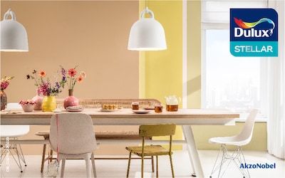 Dulux Stellar dining room pastel wood paint