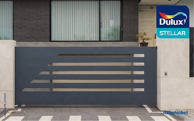 Dulux Stellar front end door paint