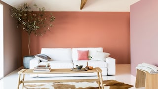 Cost-effective color ideas for lovely family living rooms