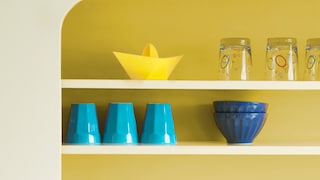 Citrus Yellow Colour