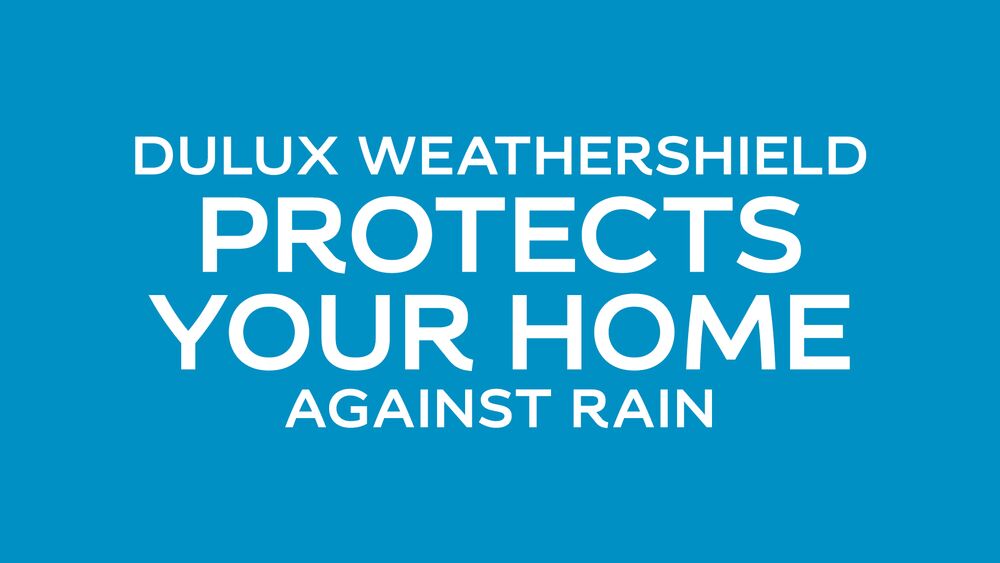 Wall protection from weather