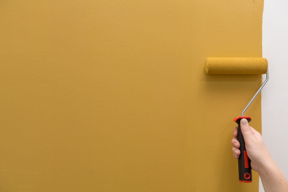 Paint apply and maintain