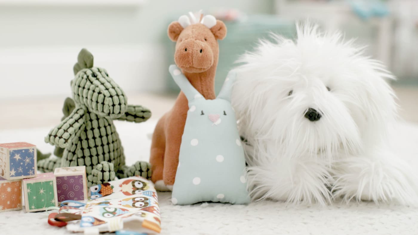 By the time a baby reaches eight months old, their colour vision is almost as good as an adults and they can recognise different and objects across a room.