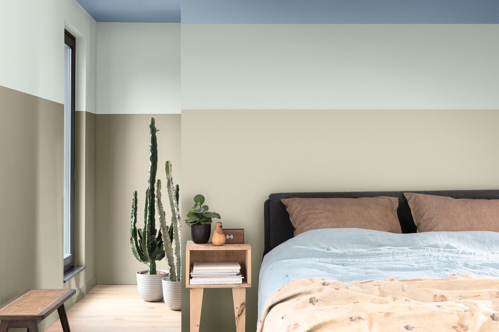 Emulsion vs. Distemper paint