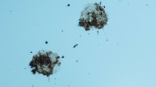 Plama na ścianie to nie dramat! Jak zmyć plamę ze ściany?	