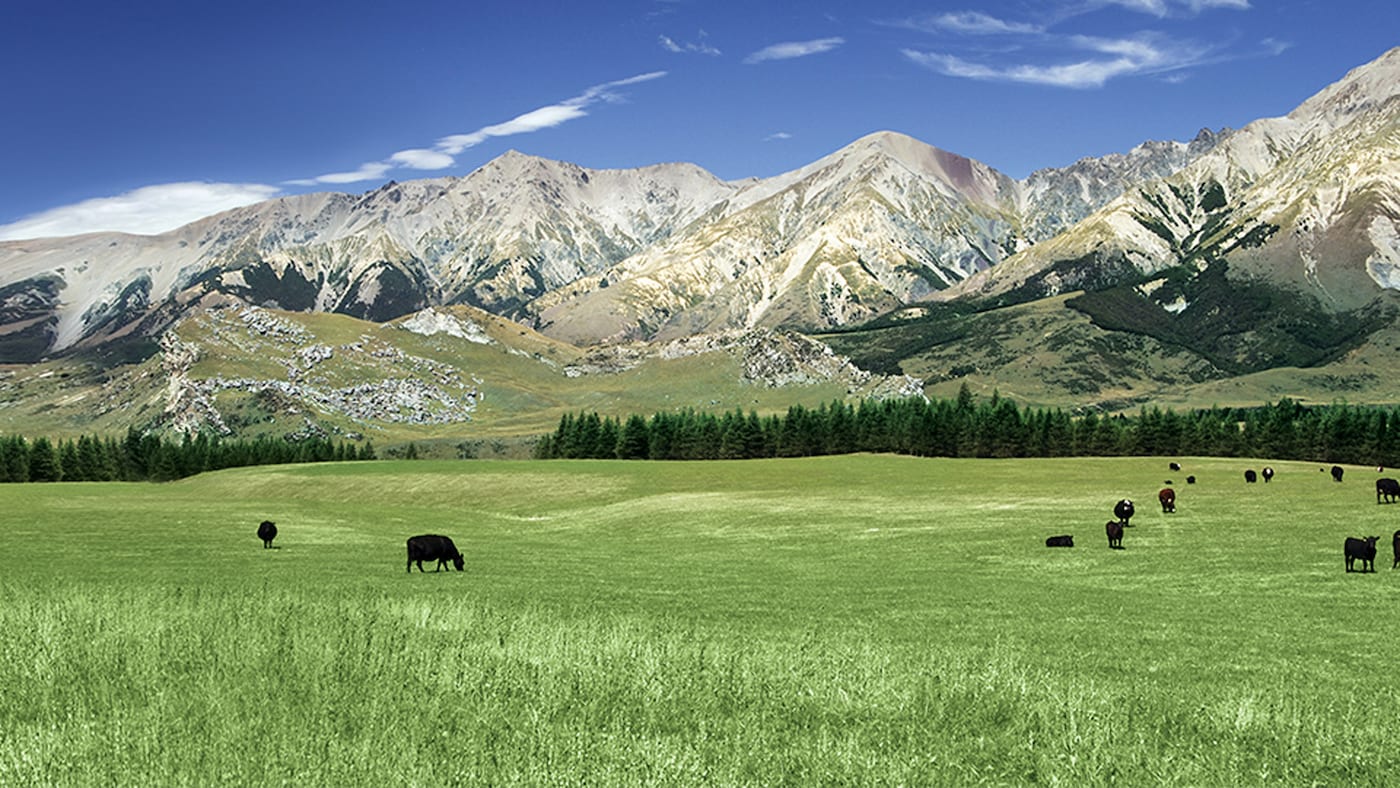 Refreshing New Zealand