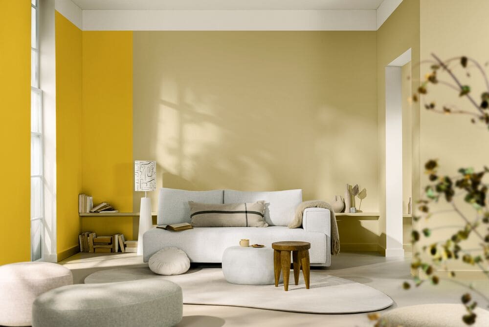 สี ผนังห้องนั่งเล่น