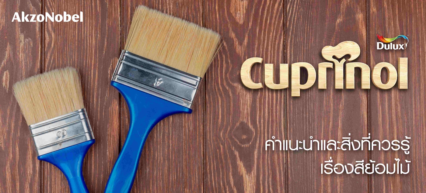 สีย้อมไม้: คู่มือการเลือกและการใช้งานสำหรับงานไม้ที่สวยงามและทนทาน