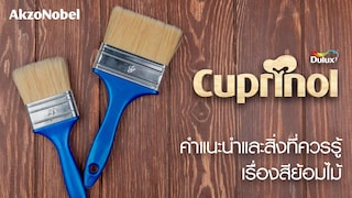 สีย้อมไม้: คำแนะนำและสิ่งที่ควรรู้ในการเลือกใช้