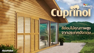 สีย้อมไม้: คำแนะนำและสิ่งที่ควรรู้