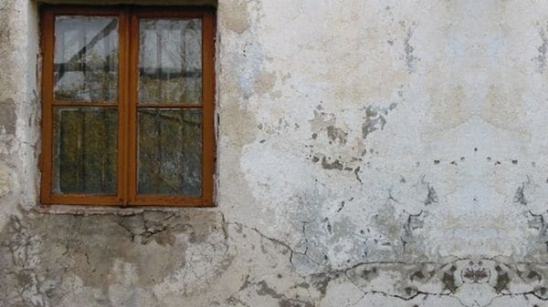 ผนังชื้น