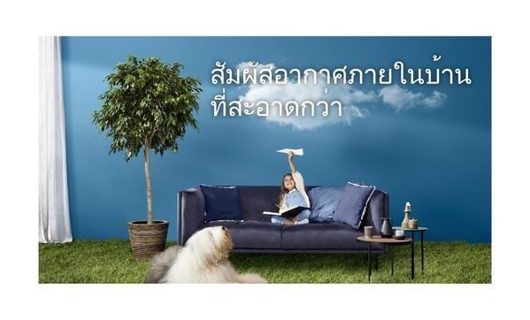 Dulux Better Living Air Clean Biobased