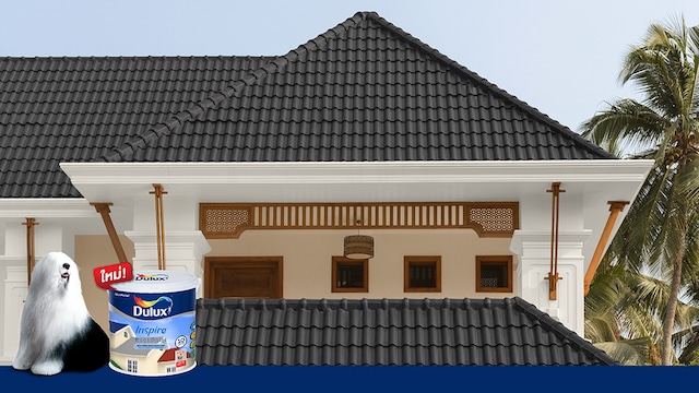 Dulux Inspire Roof