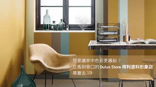 Dulux Store