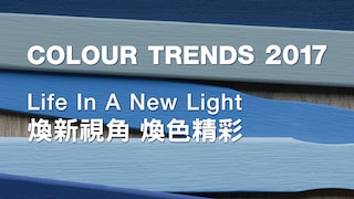 Dulux Colour Futures 2017