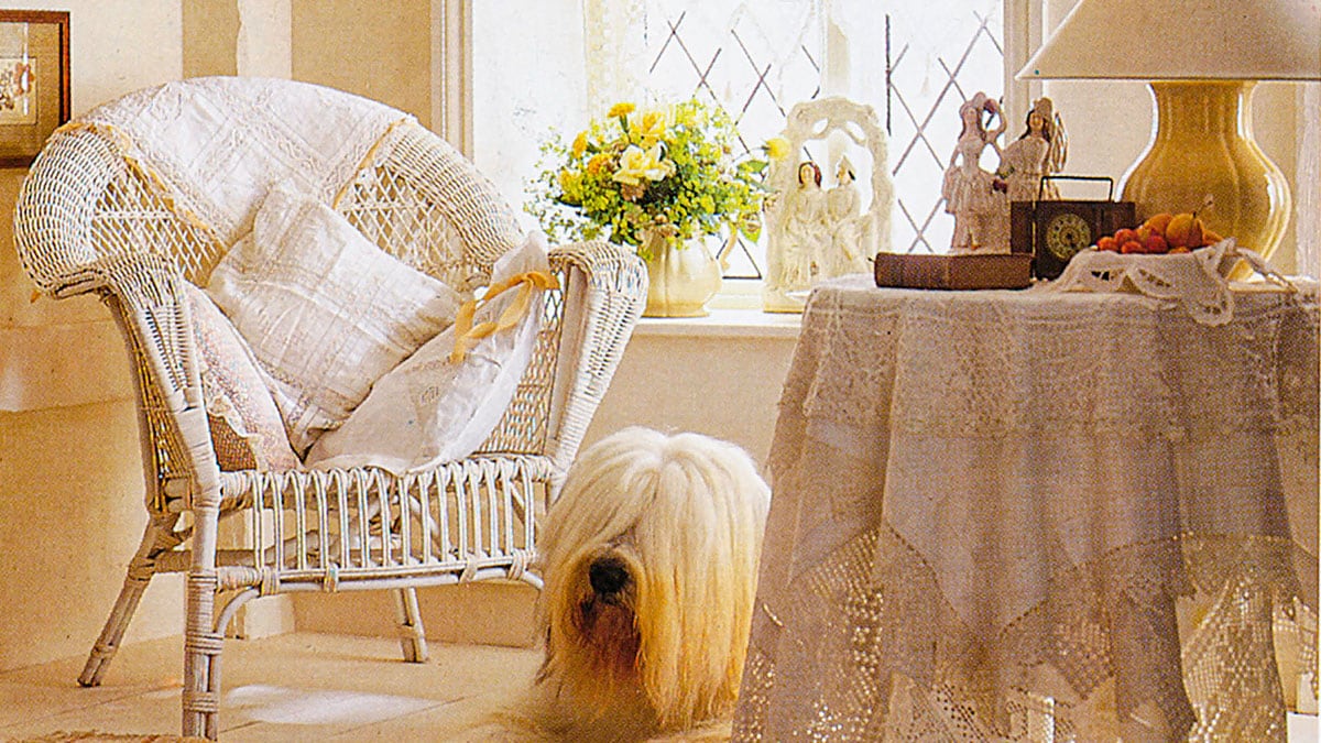 Dulux anniversary 1990s Dulux Dog