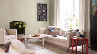7 New Colours to Try at Home