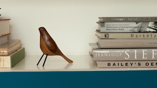 Add bold colour to office shelves